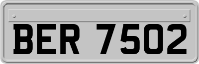 BER7502