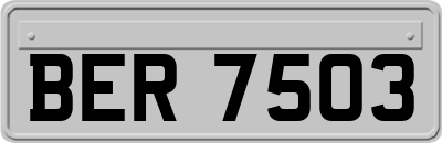 BER7503