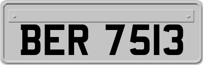 BER7513