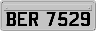 BER7529