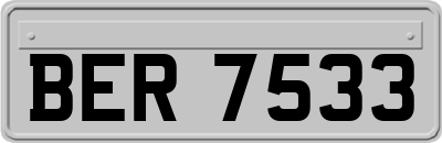 BER7533