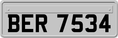 BER7534