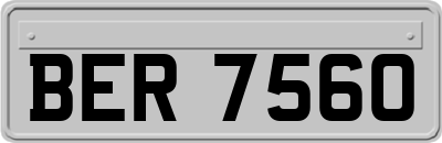 BER7560