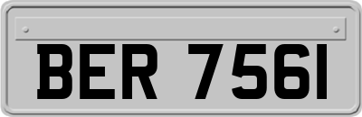 BER7561