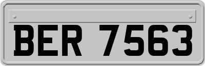 BER7563