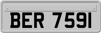 BER7591