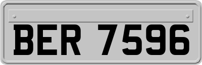 BER7596