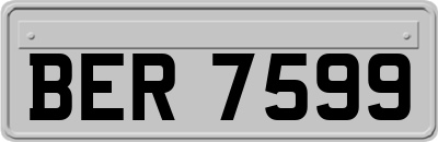 BER7599