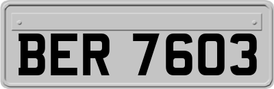 BER7603