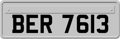 BER7613