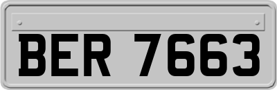 BER7663