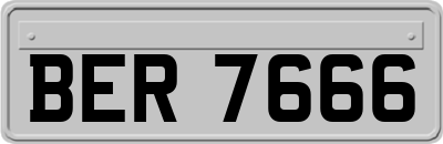 BER7666