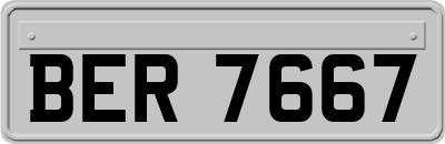 BER7667