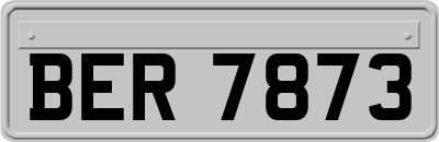 BER7873