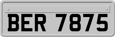 BER7875