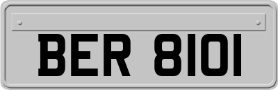 BER8101