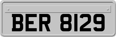 BER8129