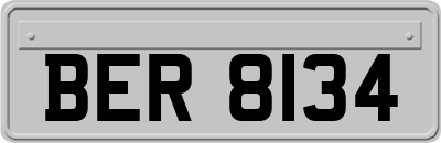 BER8134