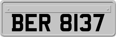 BER8137