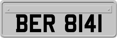 BER8141