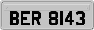 BER8143