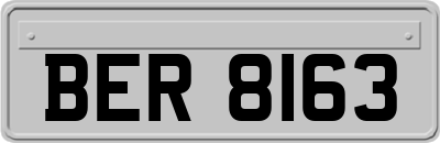 BER8163