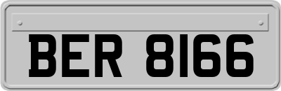 BER8166