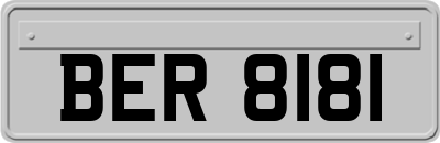 BER8181