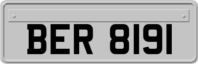 BER8191