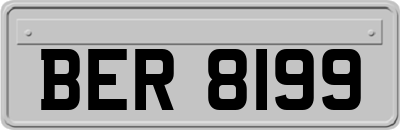 BER8199