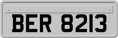 BER8213