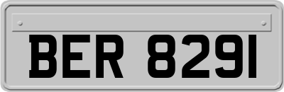 BER8291