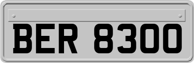 BER8300