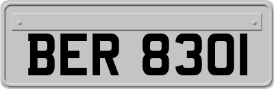 BER8301