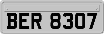 BER8307