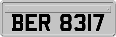 BER8317