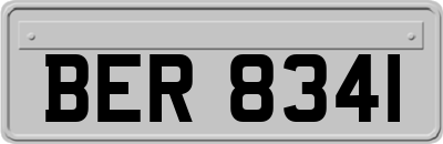 BER8341