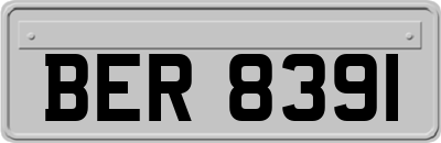 BER8391
