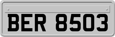 BER8503