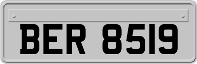 BER8519