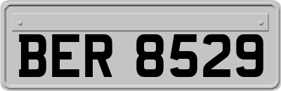 BER8529