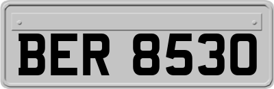 BER8530