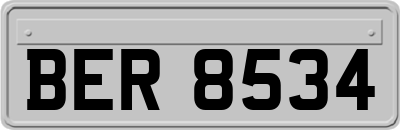 BER8534