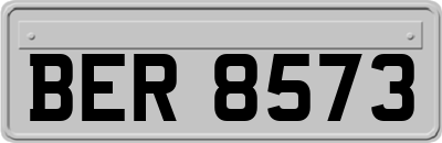 BER8573