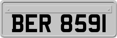 BER8591