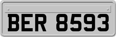 BER8593