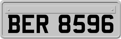 BER8596