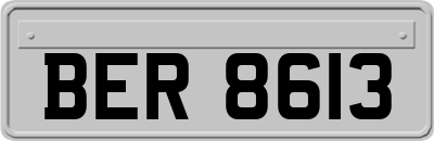 BER8613