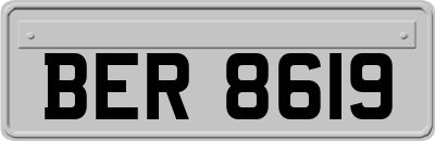 BER8619