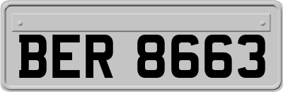 BER8663